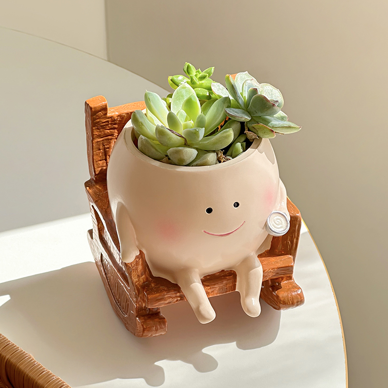 Pot de fleurs en résine fantai - Echeveria Succulent avis et prix