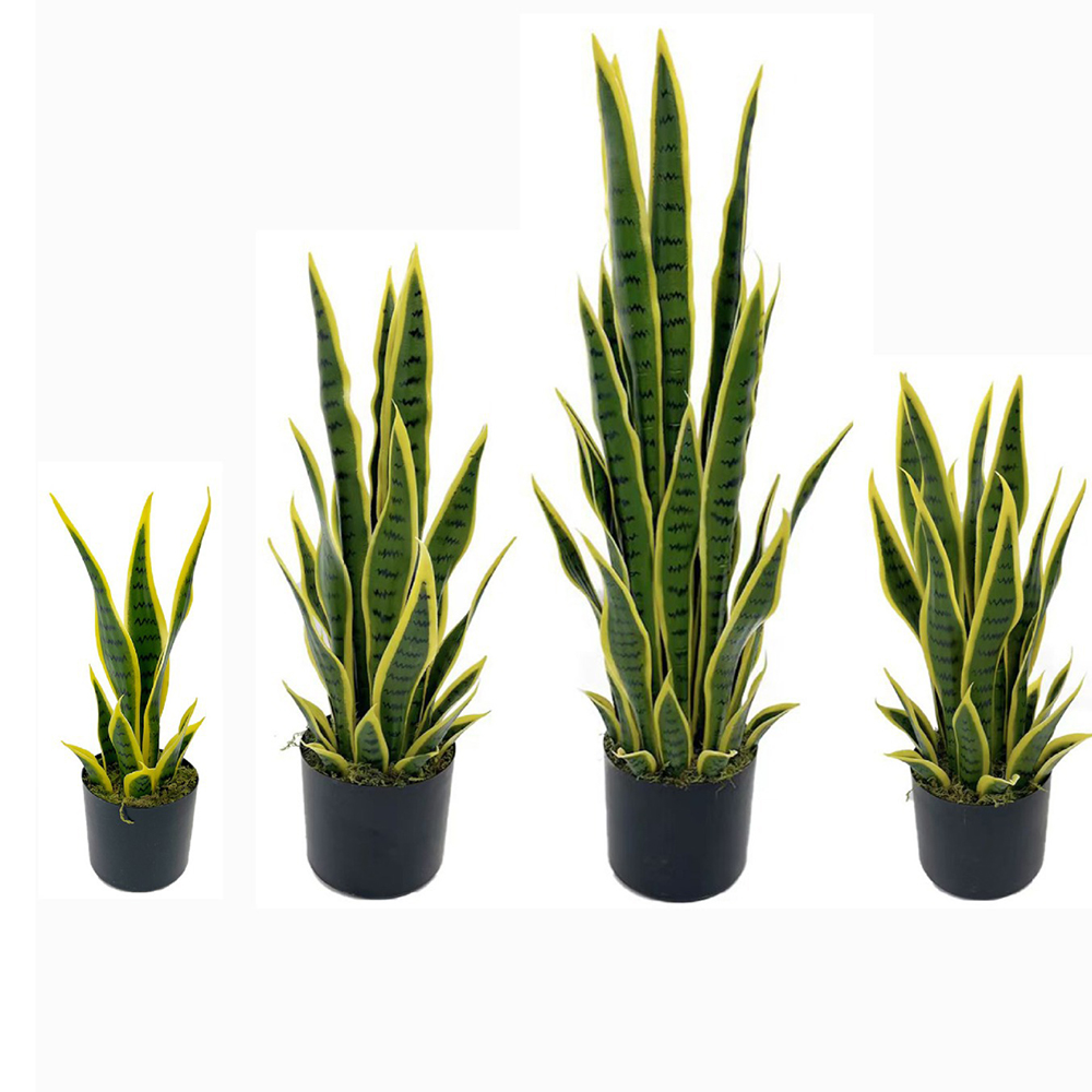 Plante artificielle Sansevieri - Ficus Lyrata Tree avis et prix
