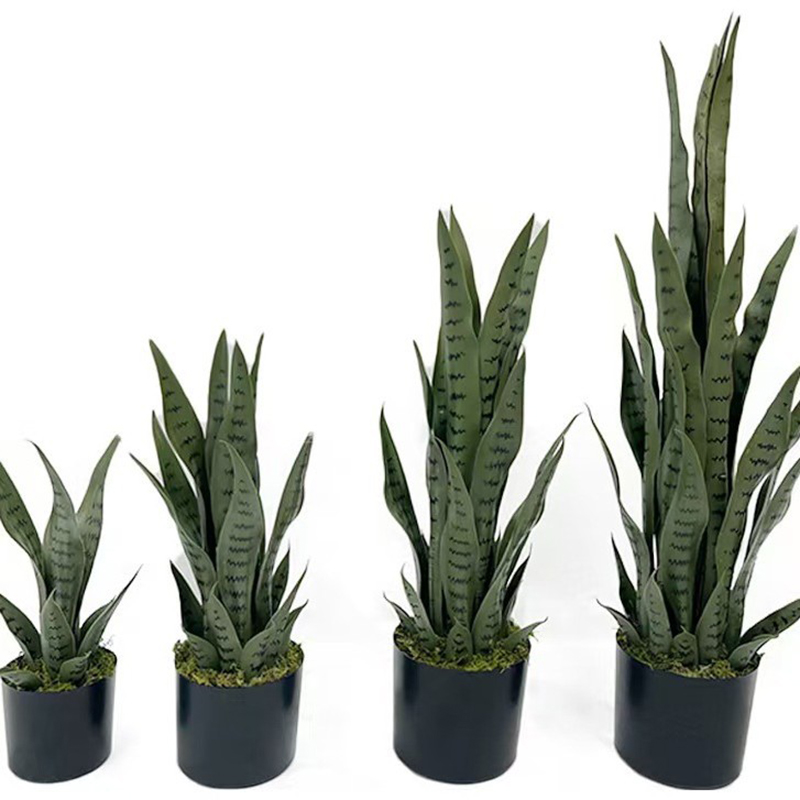 Plante artificielle Sansevieri - Ficus Lyrata Tree avis et prix