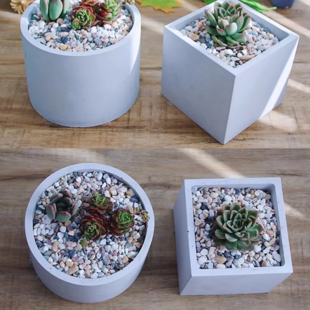 Moule en silicone pour pot de  - Echeveria Succulent avis et prix