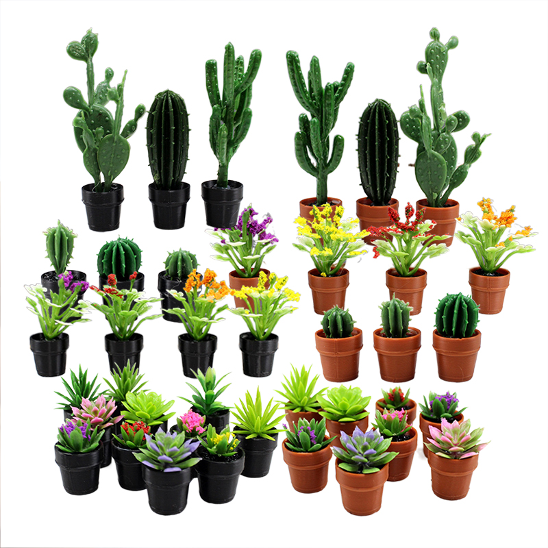 8 plantes en pot miniatures en - Echeveria Succulent avis et prix